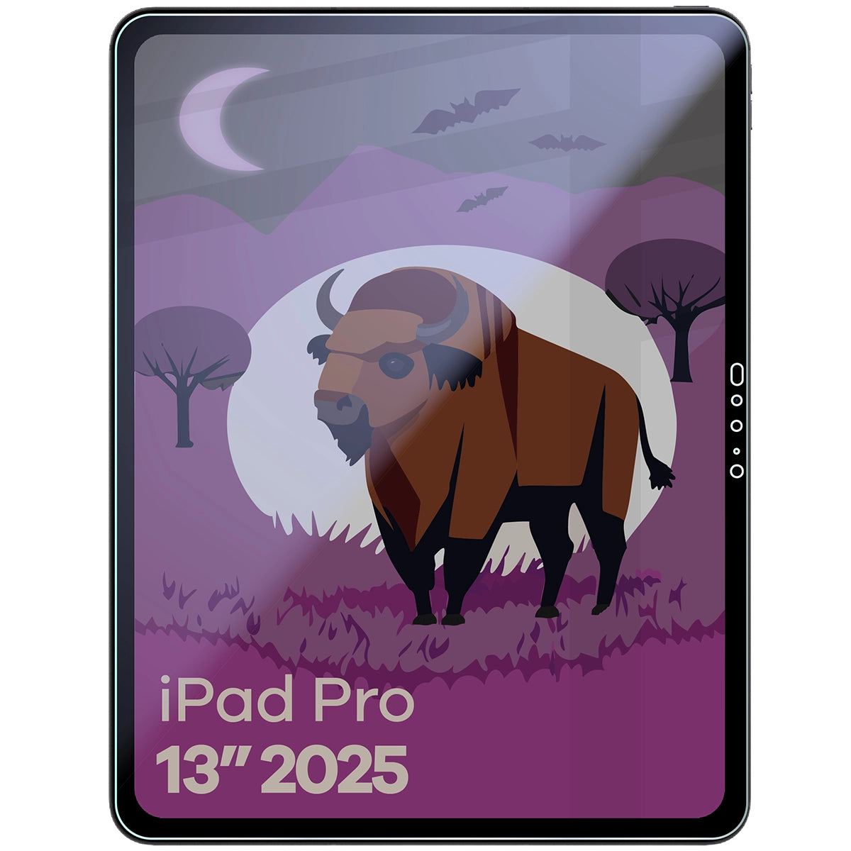 Hybridglas mit Privatschutzfilter für iPad Pro 13" M5 2025, Bizon Tab Hybrid Shadow, Matt