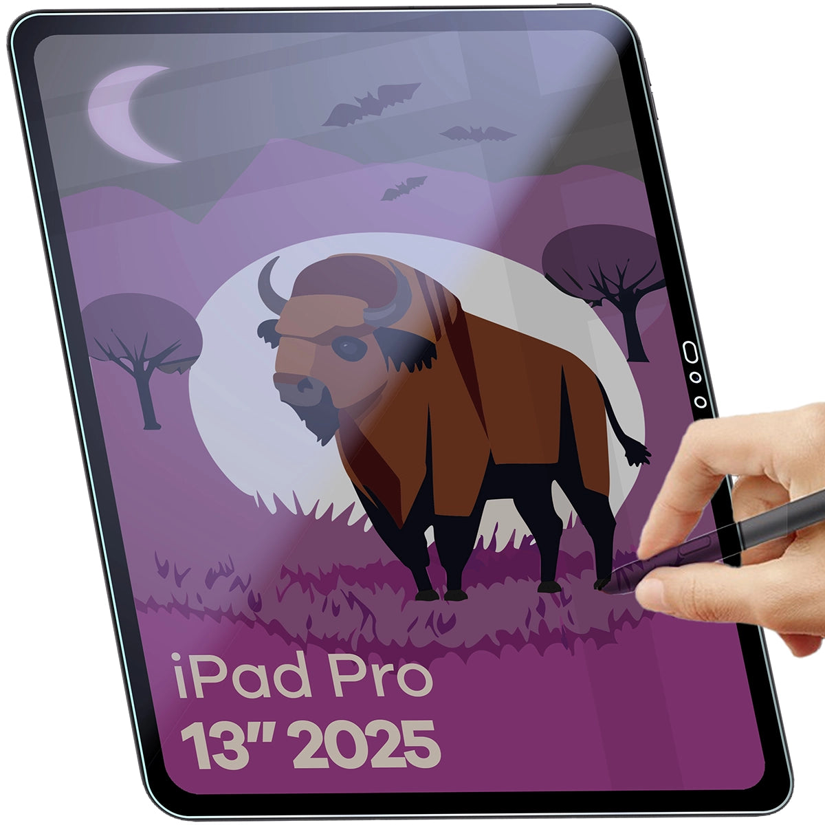 Hybridglas mit Privatschutzfilter für iPad Pro 13" M5 2025, Bizon Tab Hybrid Shadow, Matt