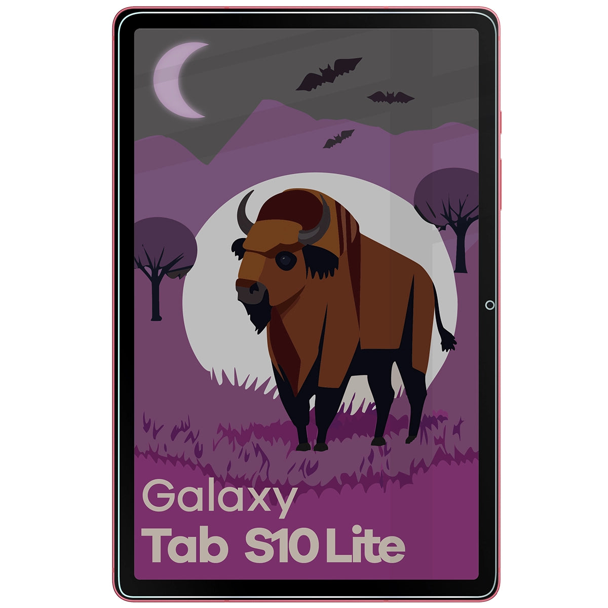 Hybridglas mit Privatschutzfilter für Galaxy Tab S10 Lite, Bizon Tab Hybrid Shadow, Matt