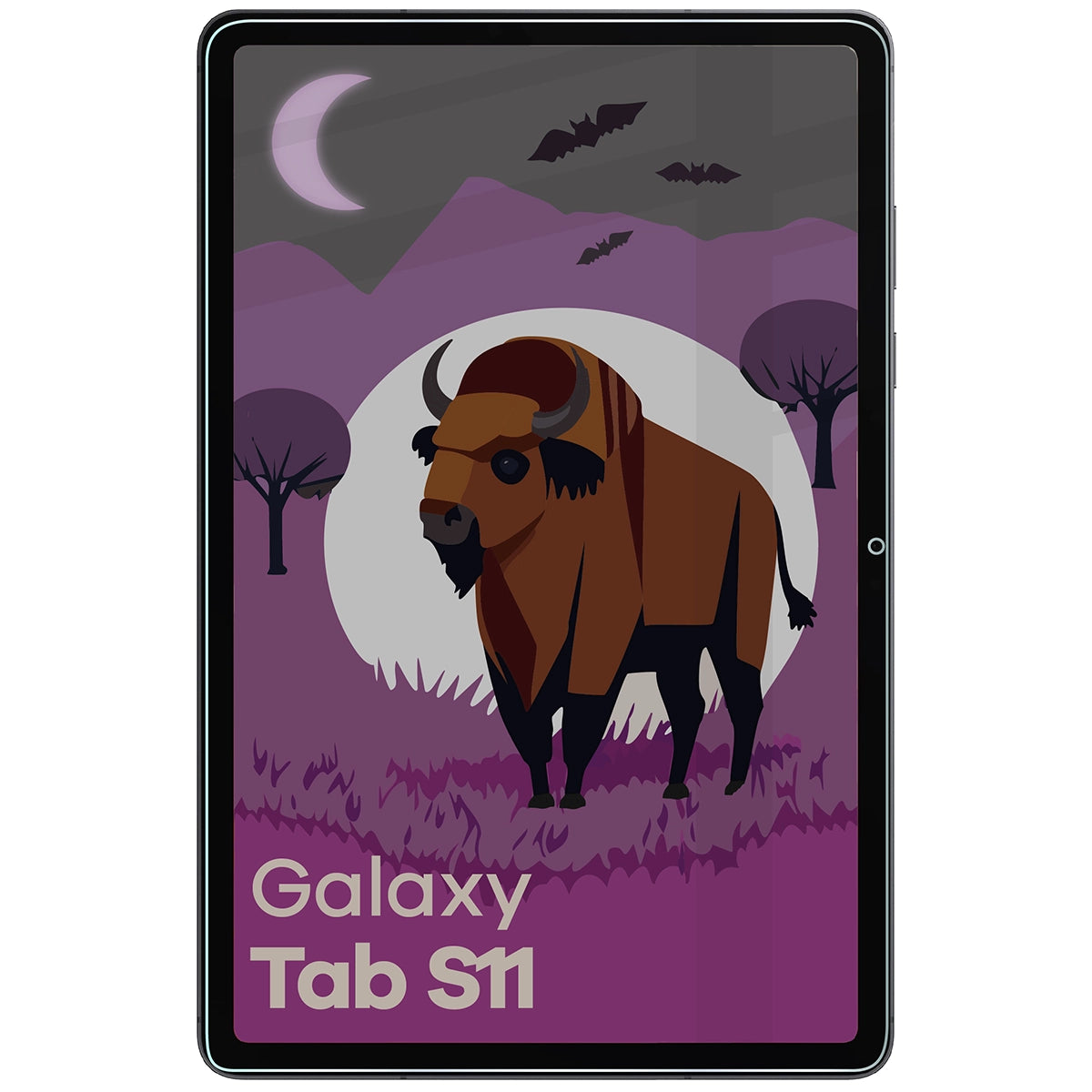 Hybridglas mit Privatschutzfilter für Galaxy Tab S11, Bizon Tab Hybrid Shadow, Matt
