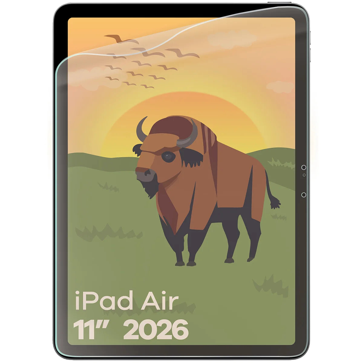 Matte Folie für iPad Air 11" M4 2026, Bizon Tab Film Matte, 1 Stück