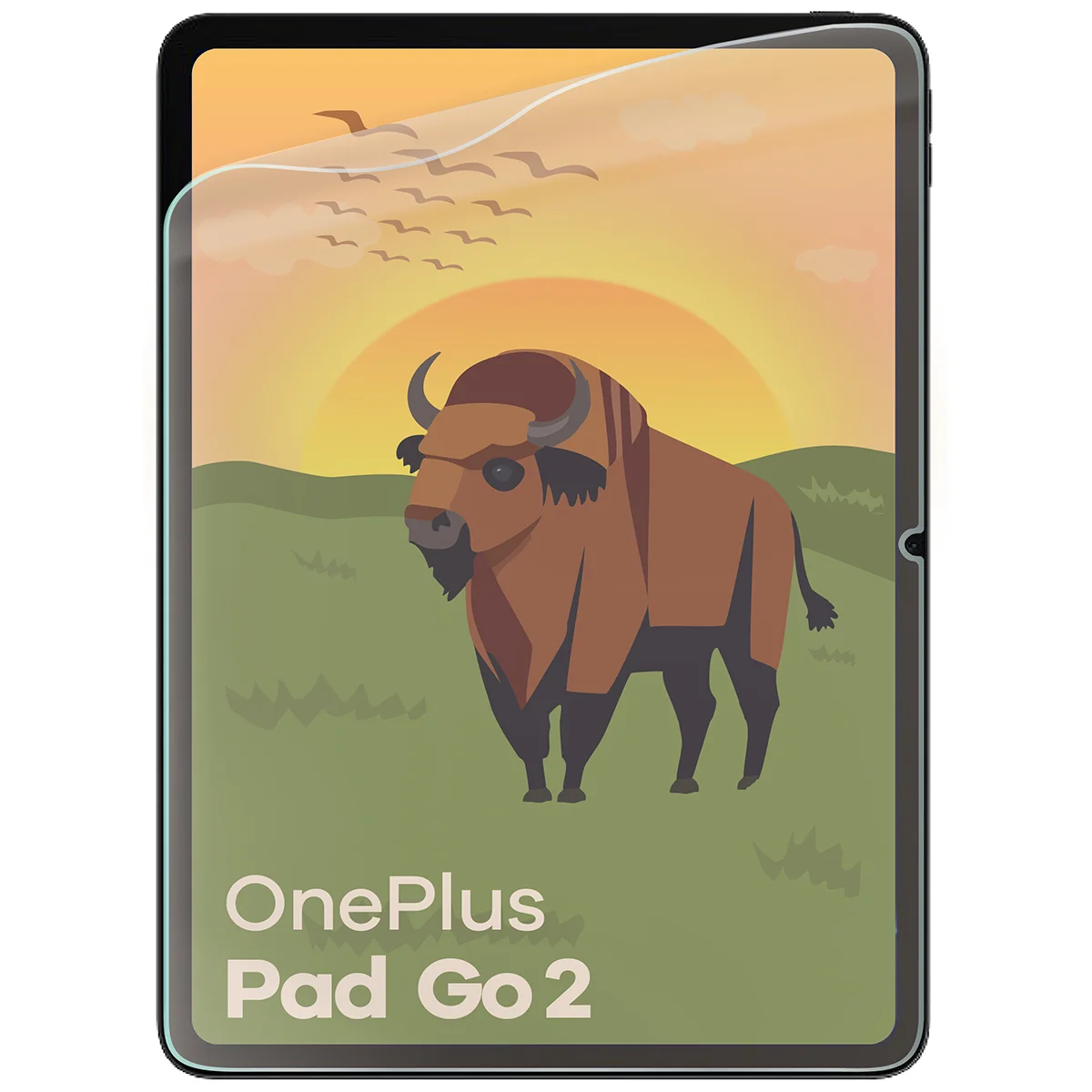 Matte Folie für OnePlus Pad Go 2, Bizon Tab Film Matte, 1 Stück
