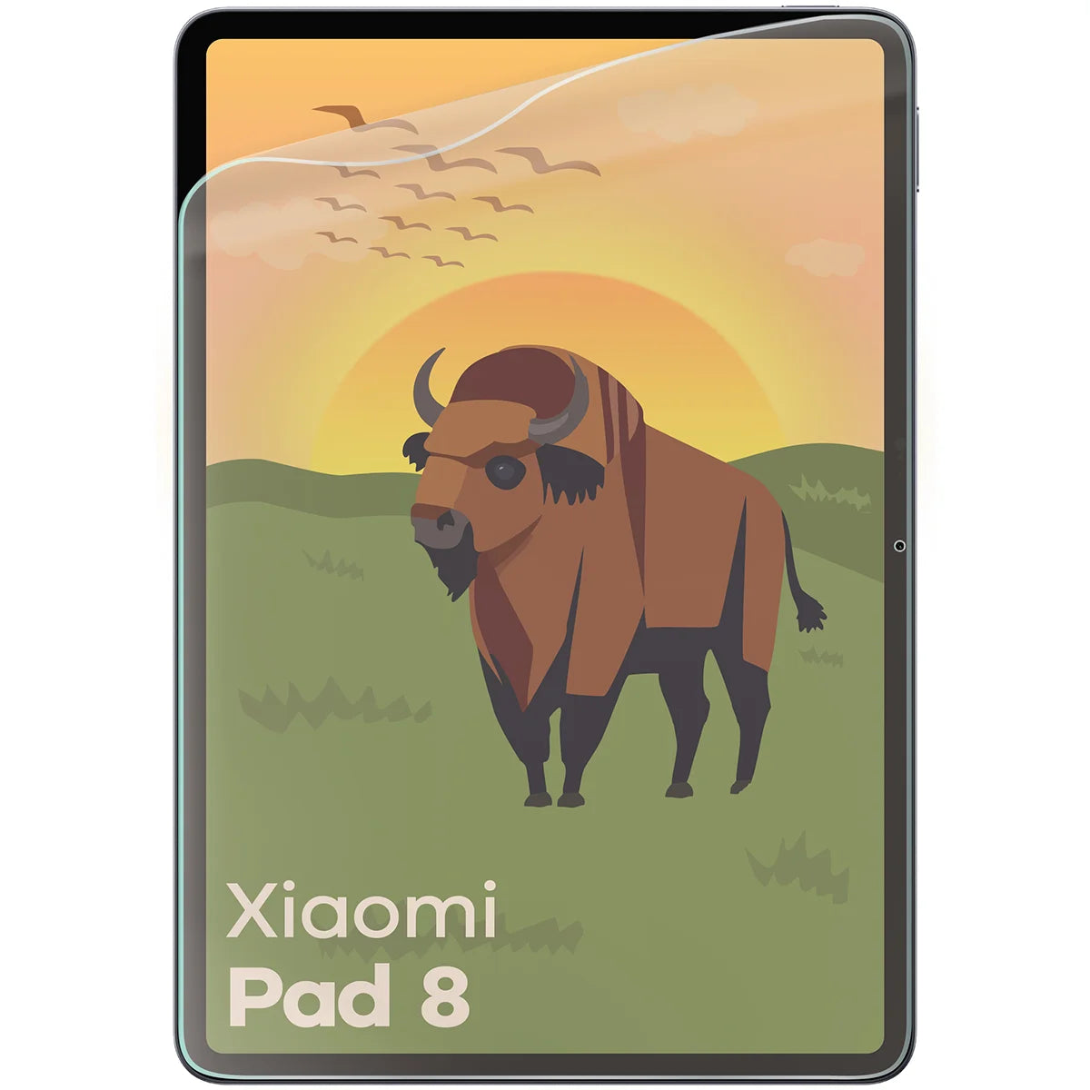 Matte Folie für Xiaomi Pad 8, Bizon Tab Film Matte, 1 Stück