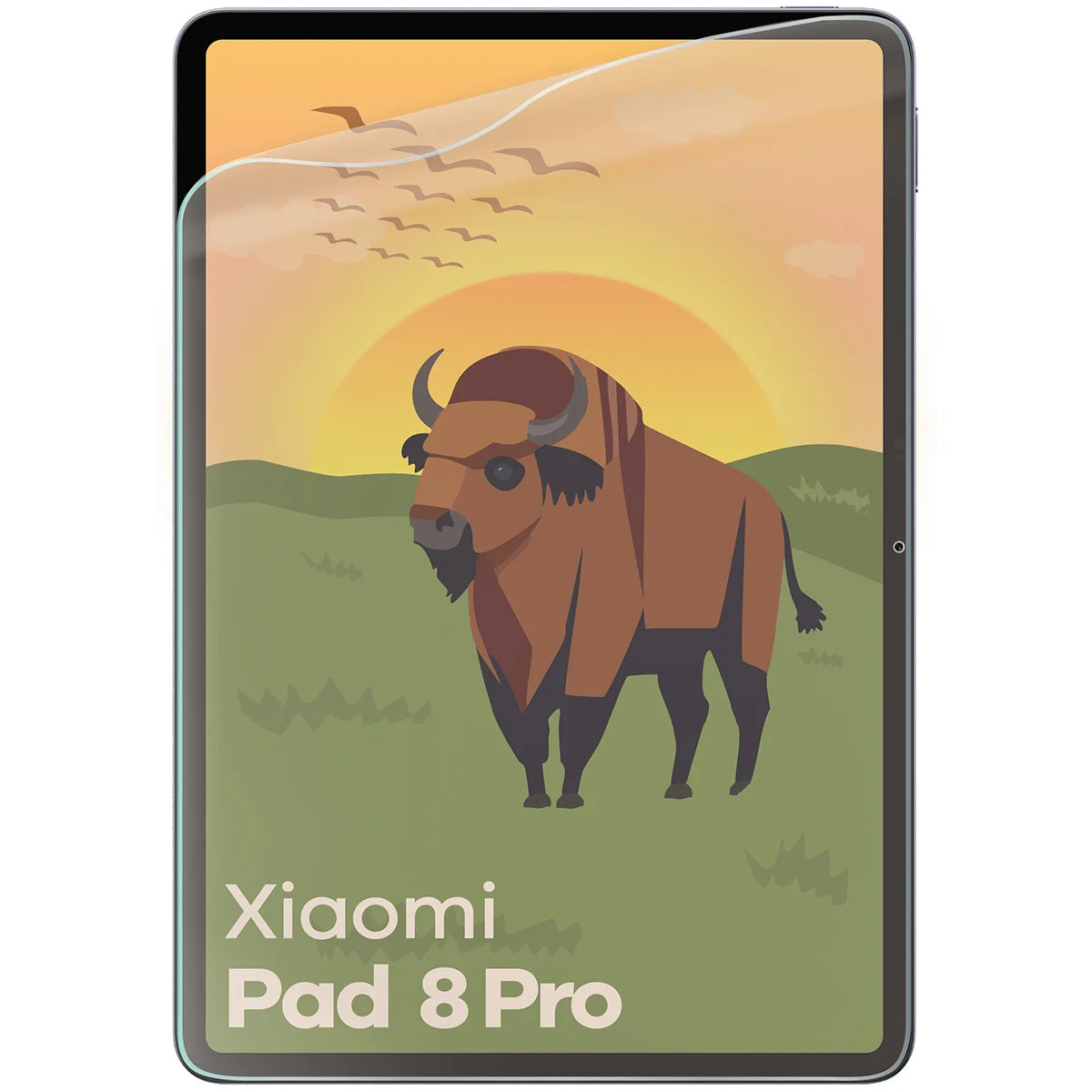 Matte Folie für Xiaomi Pad 8 Pro, Bizon Tab Film Matte, 1 Stück