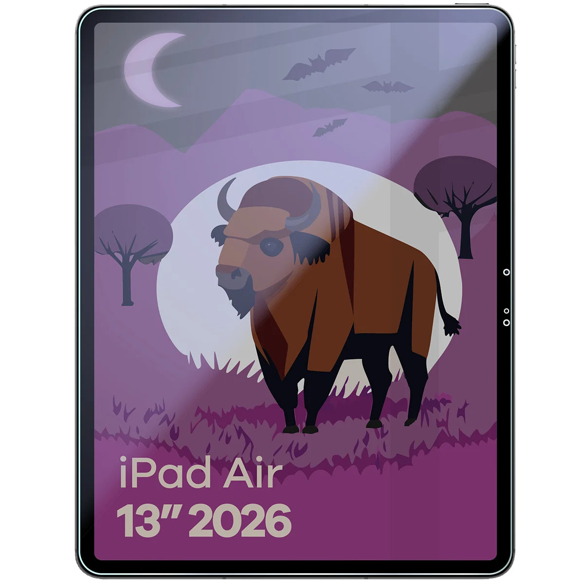 Hybridglas mit Privatschutzfilter für iPad Air 13" M4 2026, Bizon Tab Hybrid Shadow, Matt