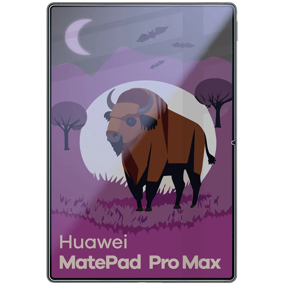 Hybridglas mit Privatschutzfilter für Huawei MatePad Pro Max, Bizon Tab Hybrid Shadow, Matt (3/5)