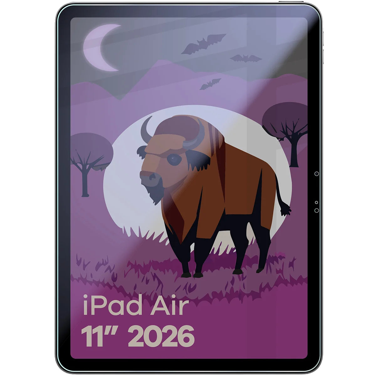 Hybridglas mit Privatschutzfilter für iPad Air 11" M4 2026, Bizon Tab Hybrid Shadow, Matt
