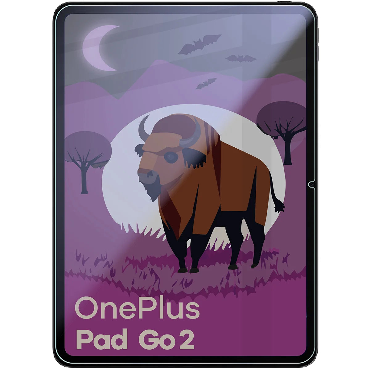 Hybridglas mit Privatschutzfilter für OnePlus Pad Go 2, Bizon Tab Hybrid Shadow, Matt