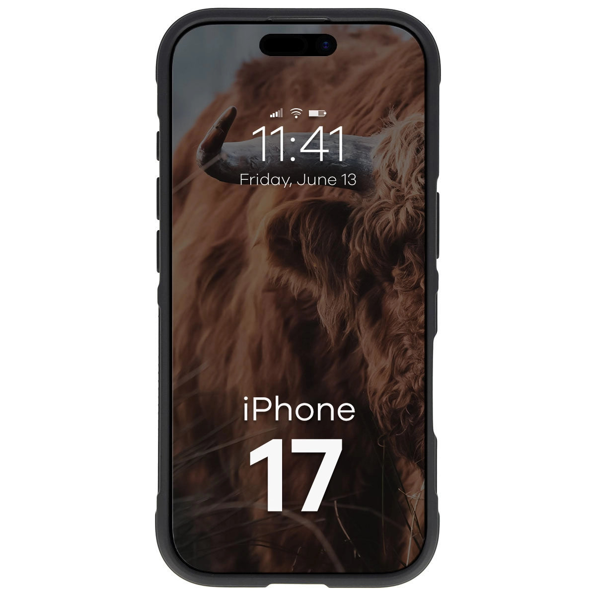 Robuste Handyhülle + gehärtetem Glas für iPhone 17, Bizon Tur Pack, Schwarz