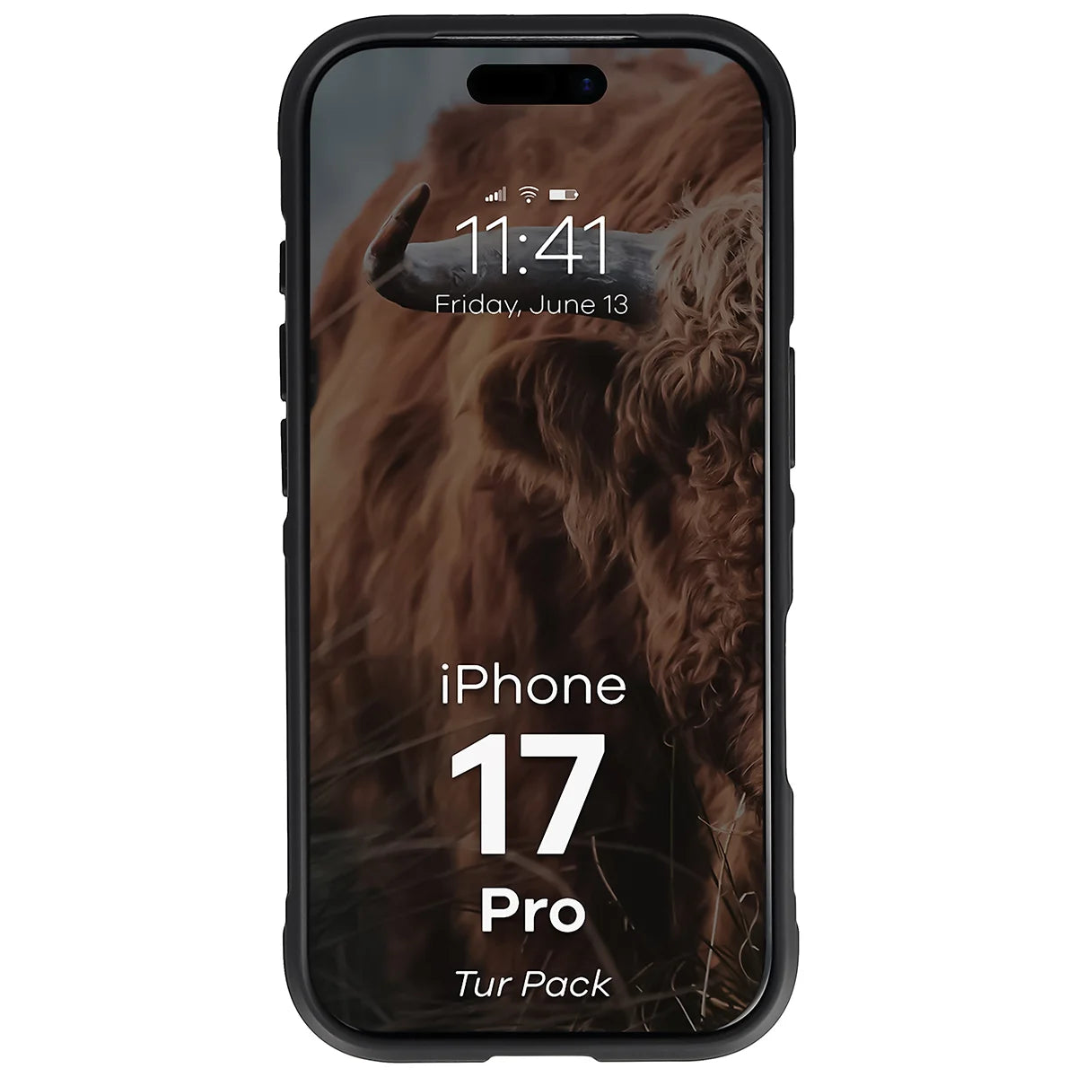 Robuste Handyhülle + gehärtetem Glas für iPhone 17 Pro, Bizon Tur Pack, Schwarz