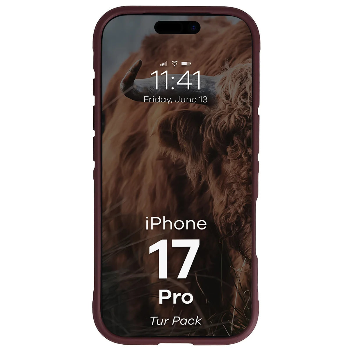 Robuste Handyhülle + gehärtetem Glas für iPhone 17 Pro, Bizon Tur Pack, Burgunderrot