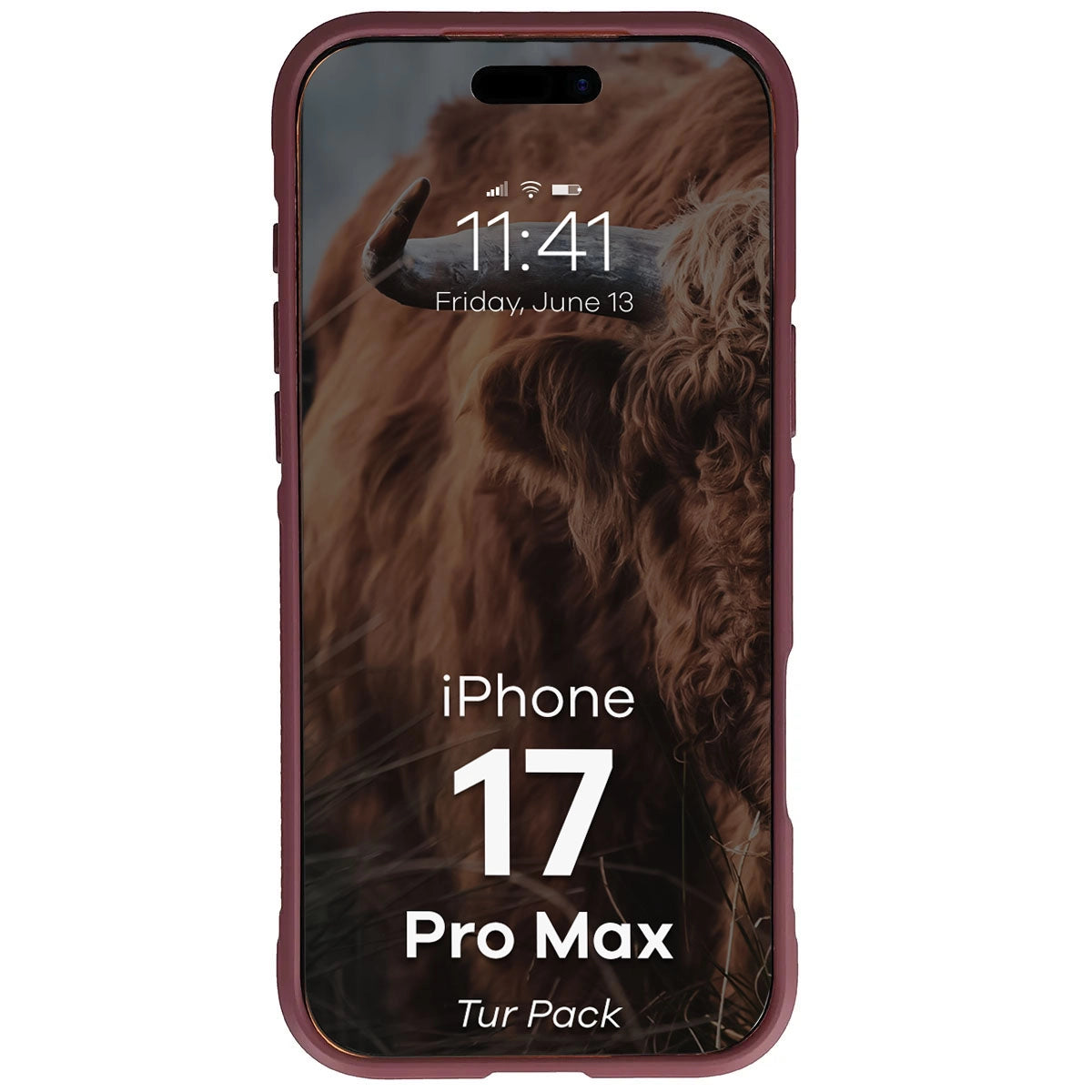 Robuste Handyhülle + gehärtetem Glas für iPhone 17 Pro Max, Bizon Tur Pack, Burgunderrot