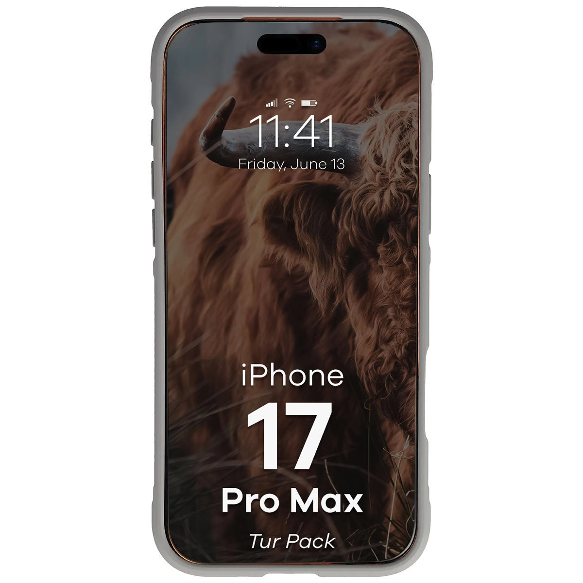 Robuste Handyhülle + gehärtetem Glas für iPhone 17 Pro Max, Bizon Tur Pack, Hellgrau