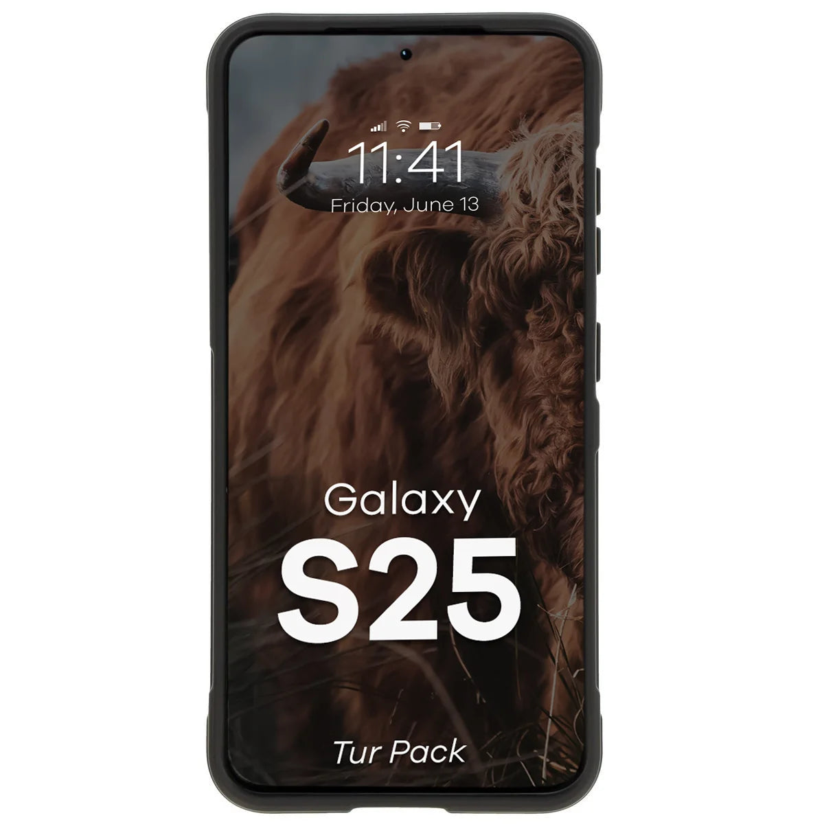 Robuste Handyhülle + gehärtetem Glas für Galaxy S25, Bizon Tur Pack, Schwarz (6/10)