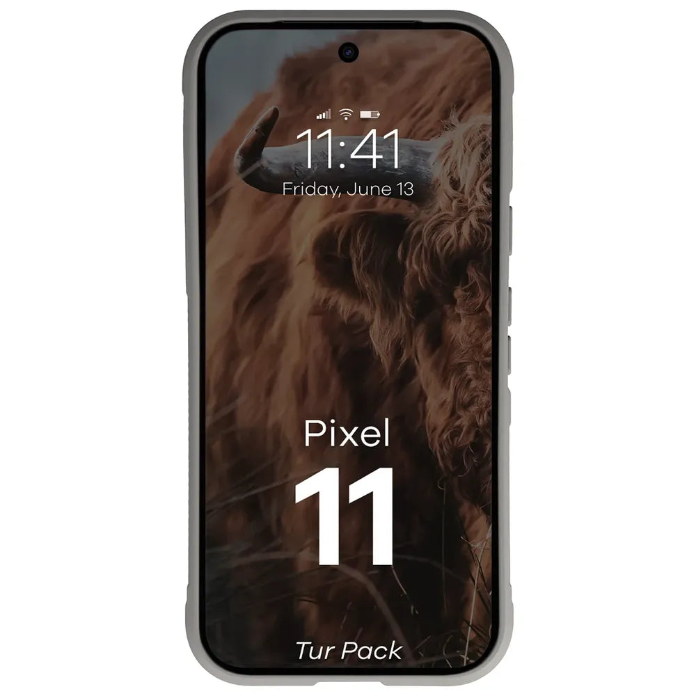 Robuste Handyhülle + gehärtetem Glas für Google Pixel 11, Bizon Tur Pack, Hellgrau (6/10)