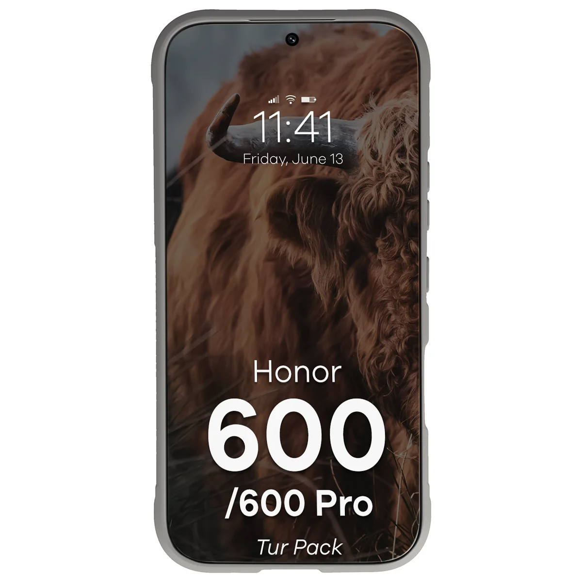 Robuste Handyhülle + gehärtetem Glas für Honor 600 5G / 600 Pro 5G, Bizon Tur Pack, Hellgrau