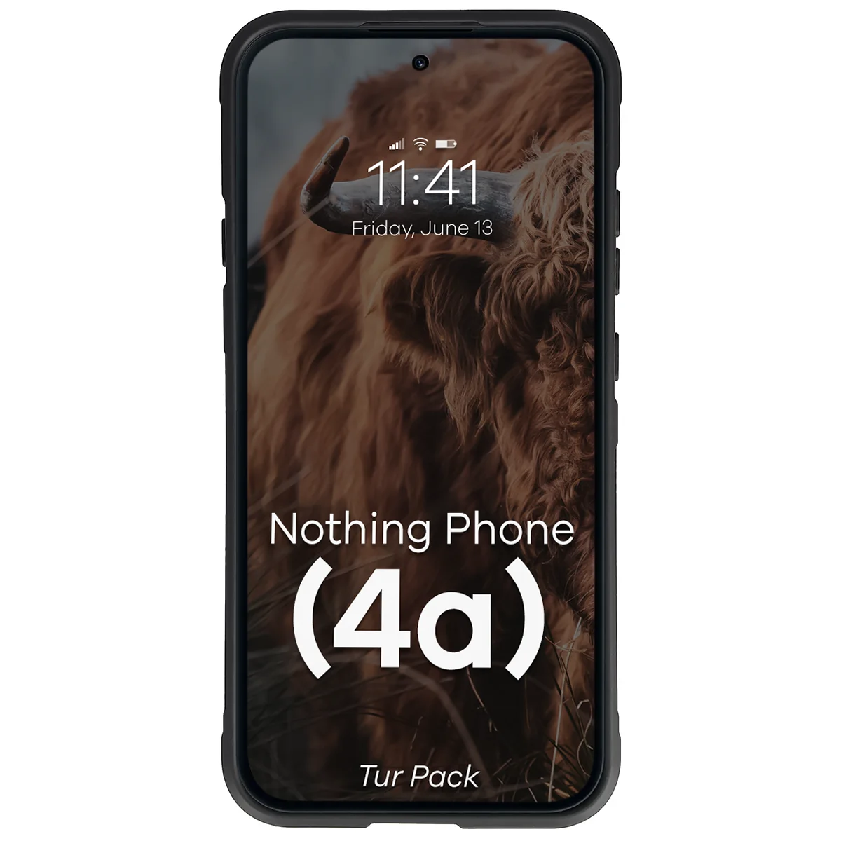 Robuste Handyhülle + gehärtetem Glas für Nothing Phone (4a), Bizon Tur Pack, Schwarz