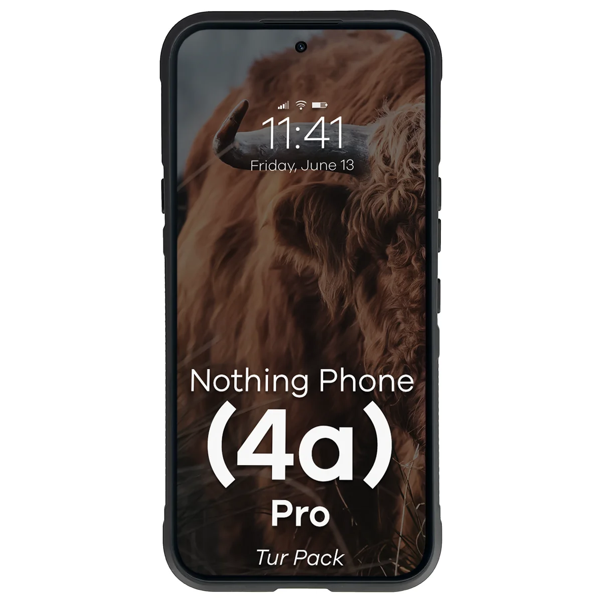 Robuste Handyhülle + gehärtetem Glas für Nothing Phone (4a) Pro, Bizon Tur Pack, Schwarz