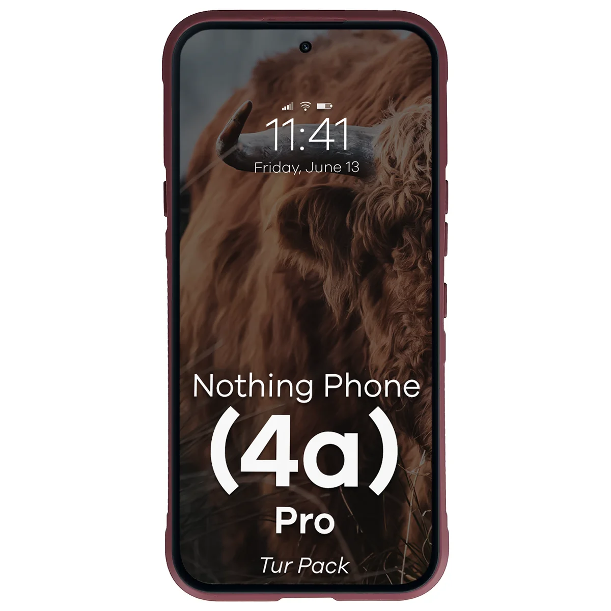 Robuste Handyhülle + gehärtetem Glas für Nothing Phone (4a) Pro, Bizon Tur Pack, Burgunderrot