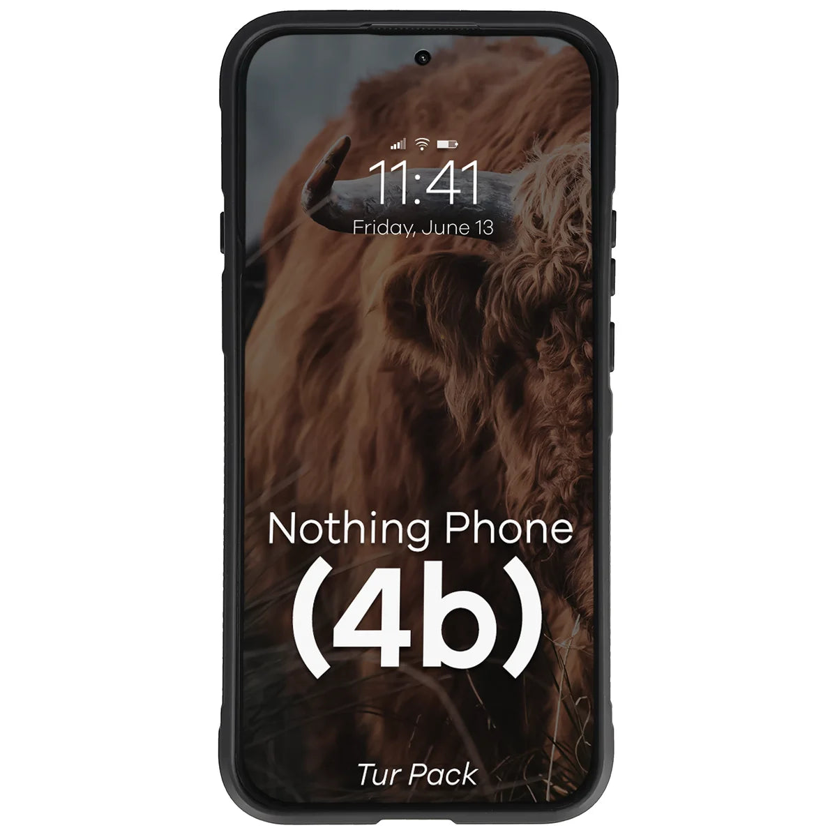 Robuste Handyhülle + gehärtetem Glas für Nothing Phone (4b), Bizon Tur Pack, Schwarz (6/10)
