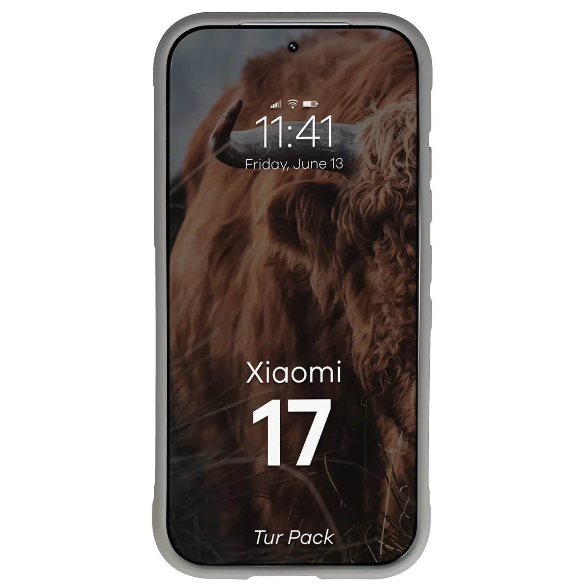 Robuste Handyhülle + gehärtetem Glas für Xiaomi 17, Bizon Tur Pack, Hellgrau