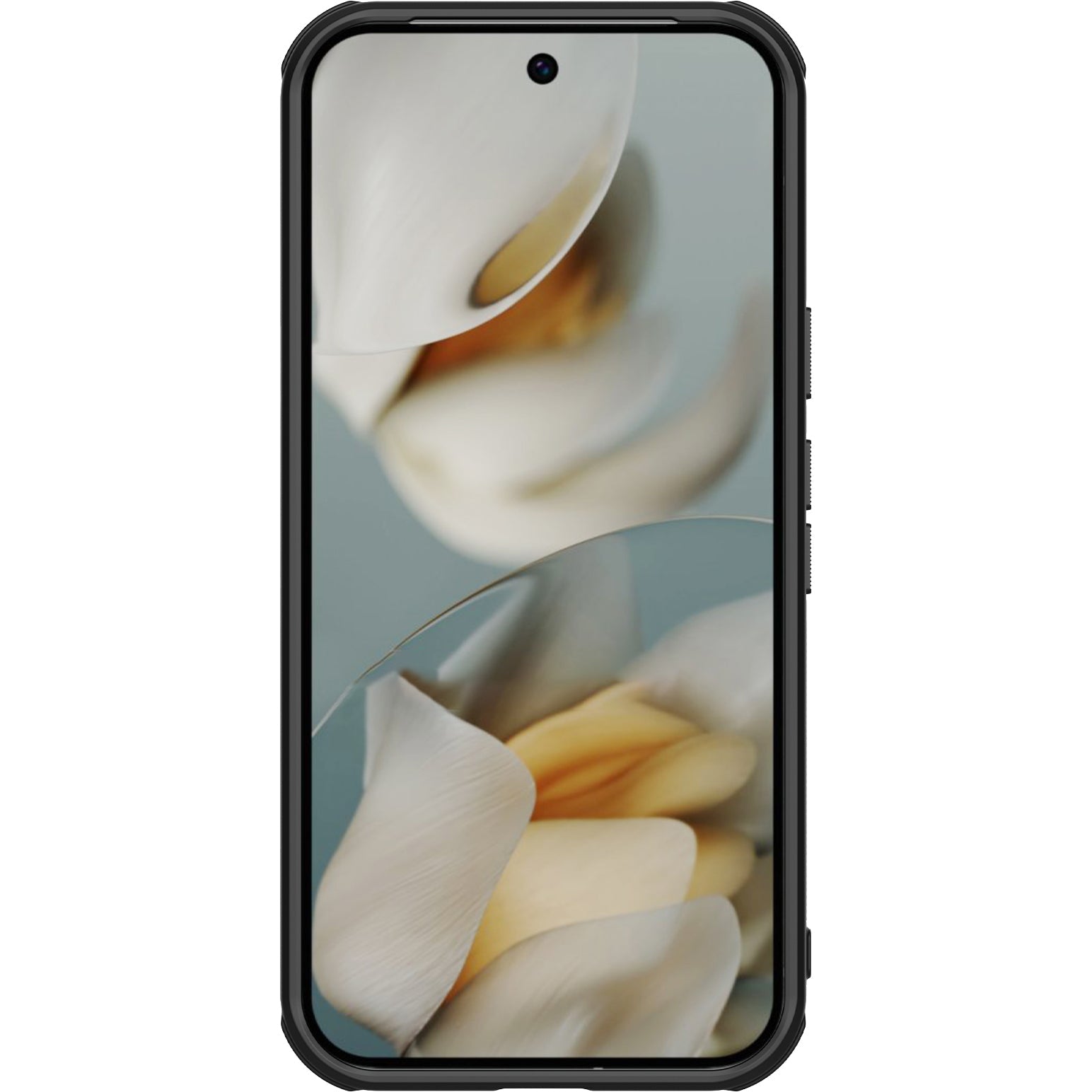 Handyhülle für Google Pixel 10 Pro / Pixel 10, Nillkin Frosted Shield Pro, Schwarz