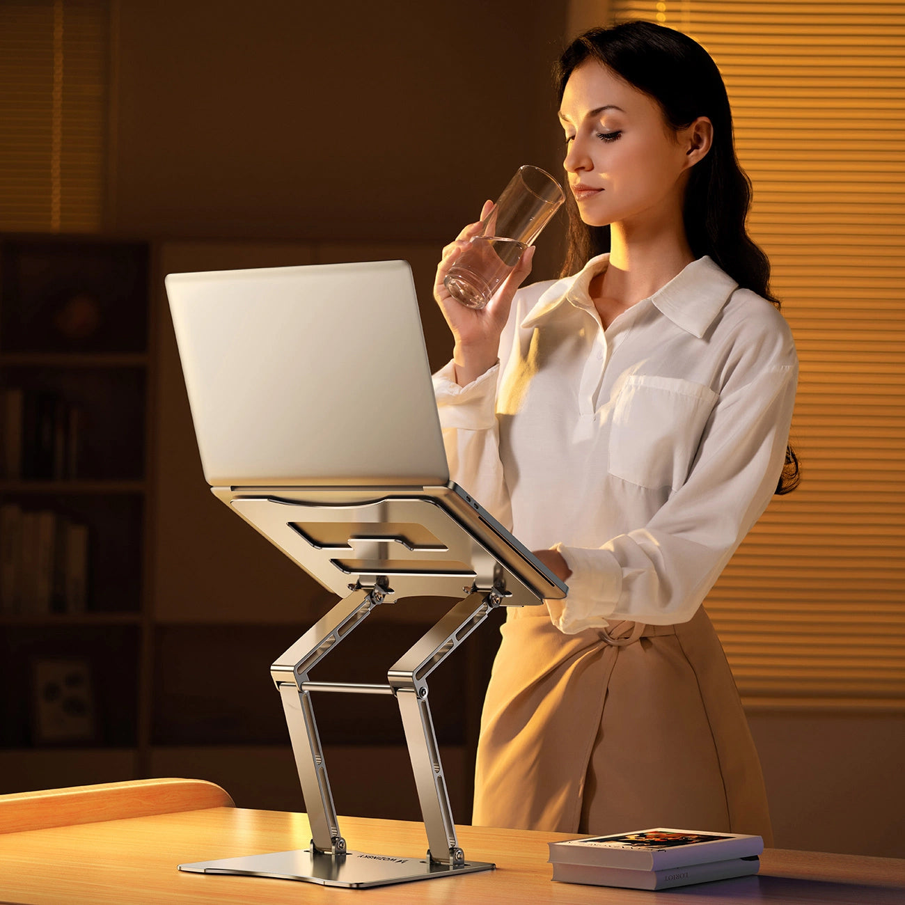 Laptop- und Tabletständer, höhenverstellbar, Wozinsky WRS-CPY75DSS, Silber