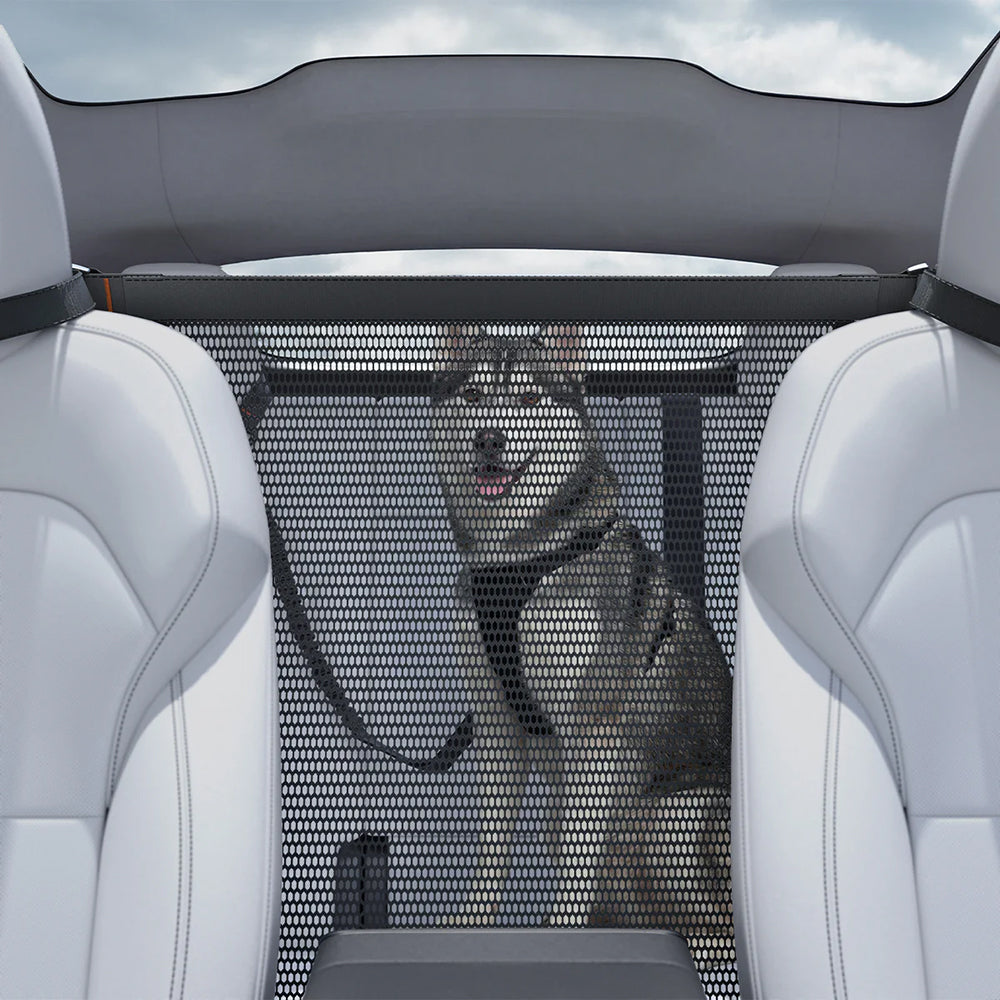 Auto Schutzgitter für Hunde für den Rücksitz, Spigen Pet Backseat Barrier PS200, Schwarz