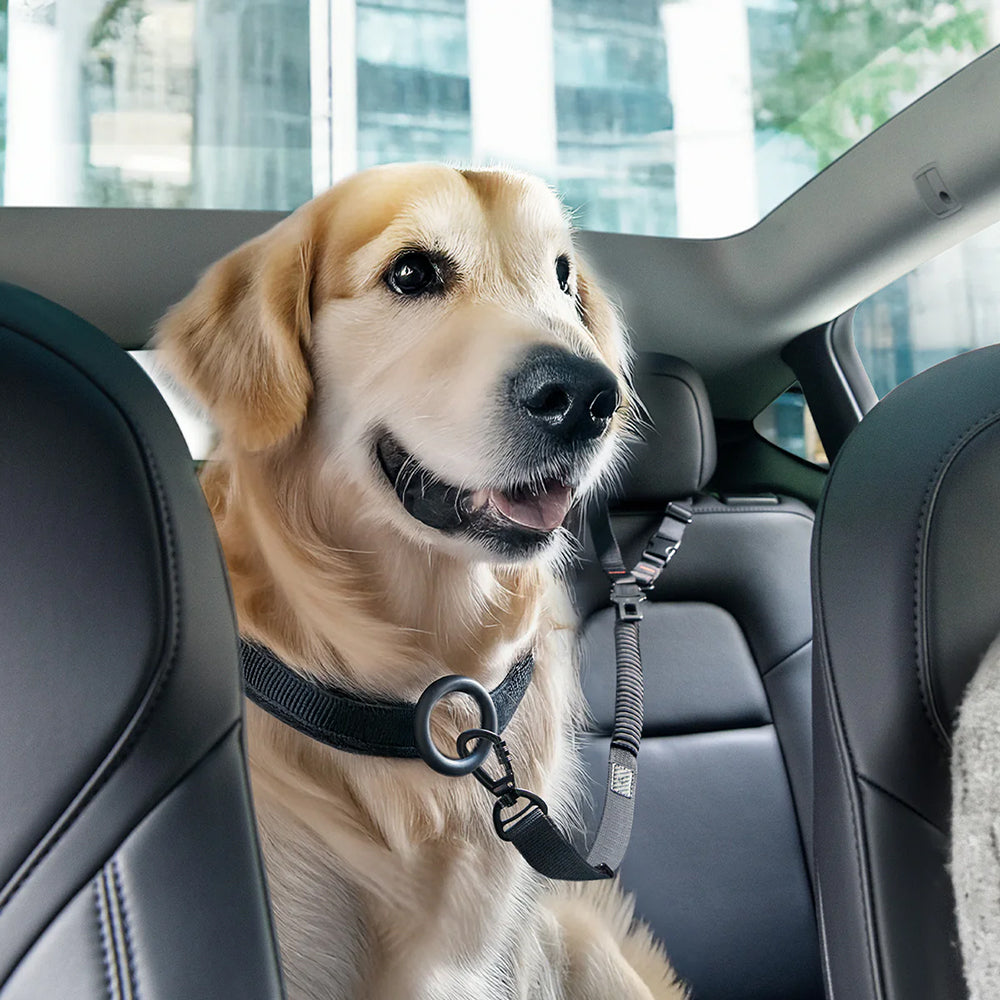 Autosicherheitsgurt für Hunde für Kopfstütze oder Gurtschloss, Spigen Pet Car Seatbelt Tether, Schwarz