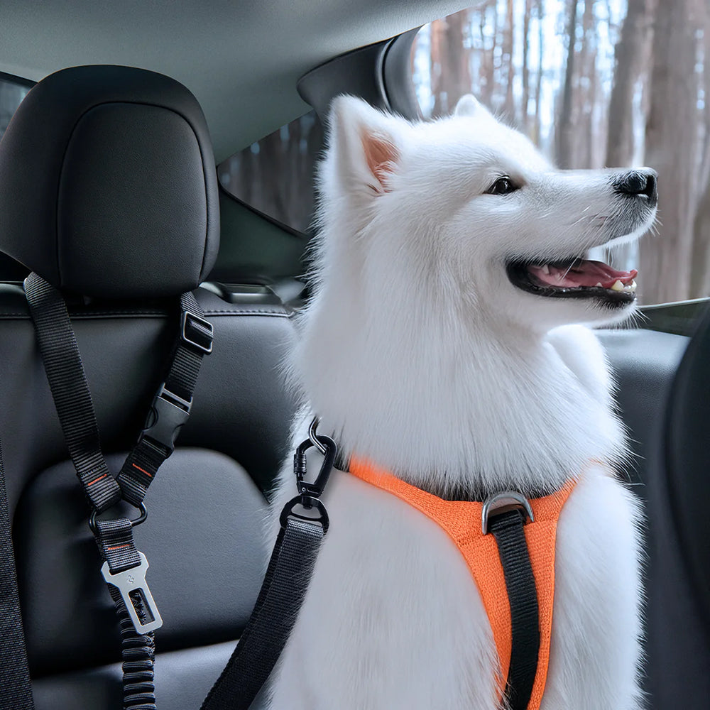 Autosicherheitsgurt für Hunde für Kopfstütze oder Gurtschloss, Spigen Pet Car Seatbelt Tether, Schwarz