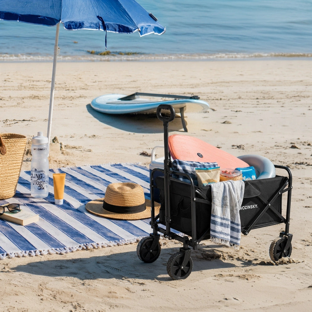 Strand- Reise- und Gartenwagen Wozinsky WZP-80 mit Sicherheitsnetz, bis 80 kg, Schwarz