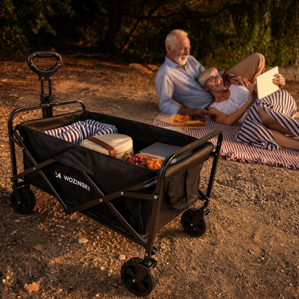 Strand- Reise- und Gartenwagen Wozinsky WZP-80 mit Sicherheitsnetz, bis 80 kg, Schwarz