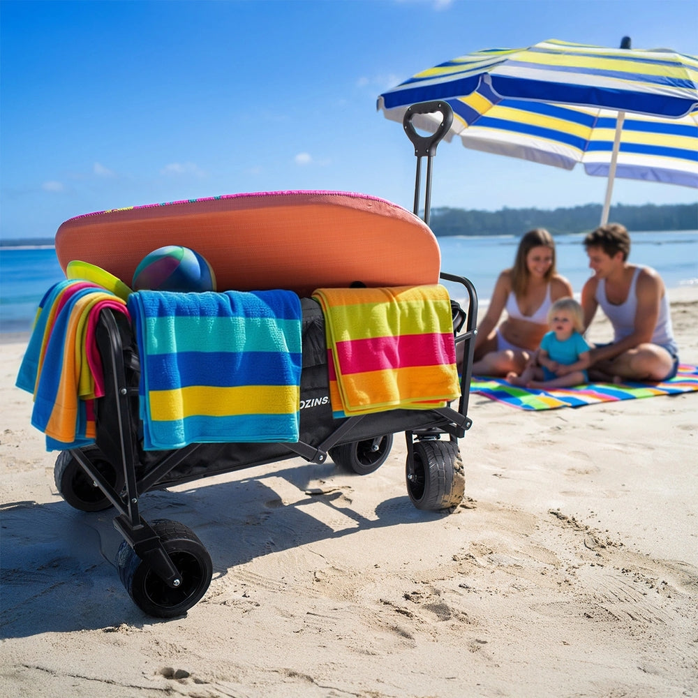 Strand-, Reise- und Gartenwagen Wozinsky WZP-100 mit Sicherheitsnetz, bis 100 kg, Schwarz