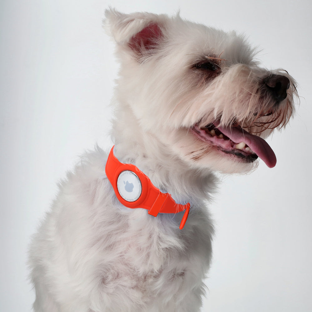 Schutzhülle Bizon Case Locator Pets für Apple AirTag, Rot