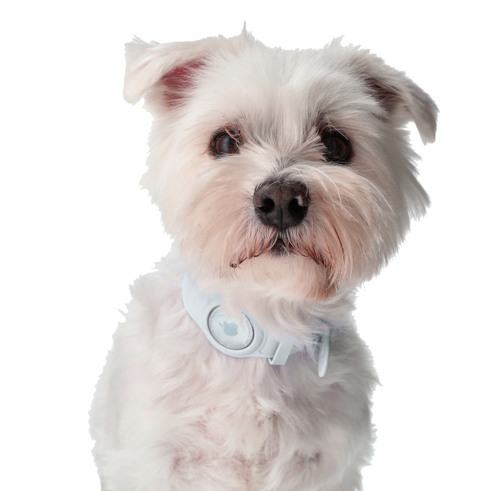 Schutzhülle Bizon Case Locator Pets für Apple AirTag, Weiß